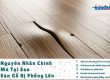 Tại sao sàn gỗ bị phồng lên? 5 nguyên nhân phổ biến bạn cần biết ngay